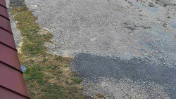 Nástup na běžecké tratě