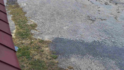 Nástup na běžecké tratě