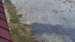 Nástup na běžecké tratě