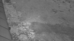 Nástup na běžecké tratě