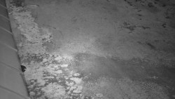 Nástup na běžecké tratě