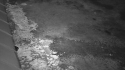 Nástup na běžecké tratě