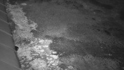 Nástup na běžecké tratě