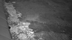 Nástup na běžecké tratě