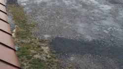 Nástup na běžecké tratě