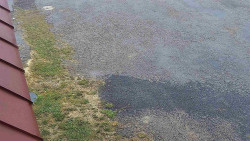 Nástup na běžecké tratě