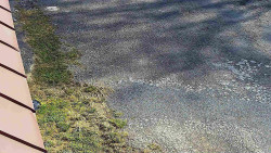 Nástup na běžecké tratě