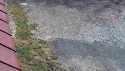 Nástup na běžecké tratě