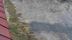 Nástup na běžecké tratě