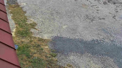 Nástup na běžecké tratě