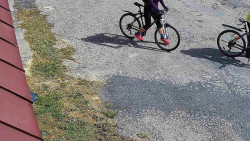 Nástup na běžecké tratě