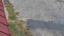 Nástup na běžecké tratě