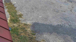 Nástup na běžecké tratě