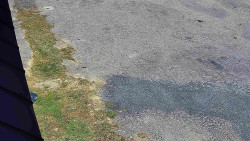 Nástup na běžecké tratě