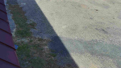 Nástup na běžecké tratě