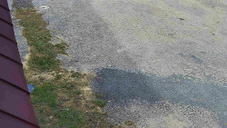 Nástup na běžecké tratě