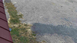 Nástup na běžecké tratě