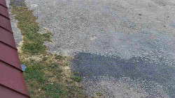 Nástup na běžecké tratě