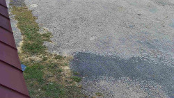 Nástup na běžecké tratě