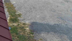 Nástup na běžecké tratě