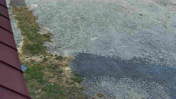 Nástup na běžecké tratě