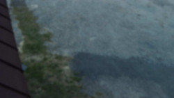 Nástup na běžecké tratě