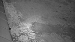 Nástup na běžecké tratě