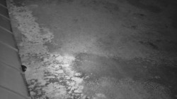 Nástup na běžecké tratě