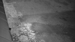 Nástup na běžecké tratě