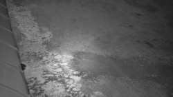 Nástup na běžecké tratě