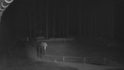 Nástup na běžecké tratě