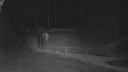 Nástup na běžecké tratě