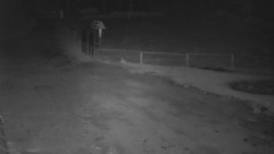 Nástup na běžecké tratě