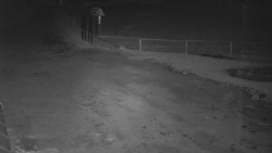 Nástup na běžecké tratě