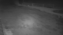 Nástup na běžecké tratě