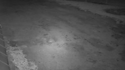 Nástup na běžecké tratě