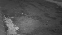 Nástup na běžecké tratě