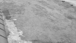 Nástup na běžecké tratě