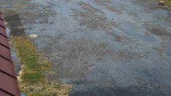 Nástup na běžecké tratě