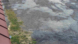 Nástup na běžecké tratě