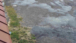 Nástup na běžecké tratě