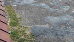 Nástup na běžecké tratě