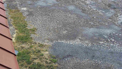 Nástup na běžecké tratě