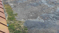 Nástup na běžecké tratě