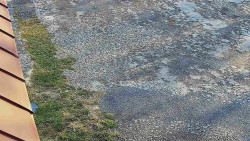 Nástup na běžecké tratě