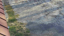 Nástup na běžecké tratě