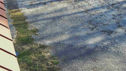 Nástup na běžecké tratě