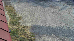 Nástup na běžecké tratě