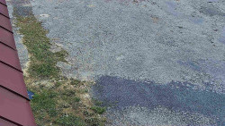 Nástup na běžecké tratě