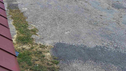 Nástup na běžecké tratě